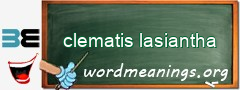 WordMeaning blackboard for clematis lasiantha